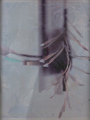 Luca Trevisani, placet experiri 3, 2011, UV-rays print on aluminium in artist frame, 107 x 82 x 5 cm, Unique piece