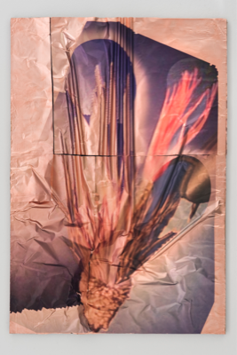 Luca Trevisani, Flyfishing #10, 2011, UV-rays print on copper and cardboard, 68 x 46,5 x 0,8 cm, Framed: 74 x 52,4 x 5 cm, Unique