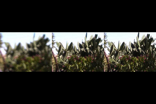 Aikaterini Gegisian, A little film, 2005