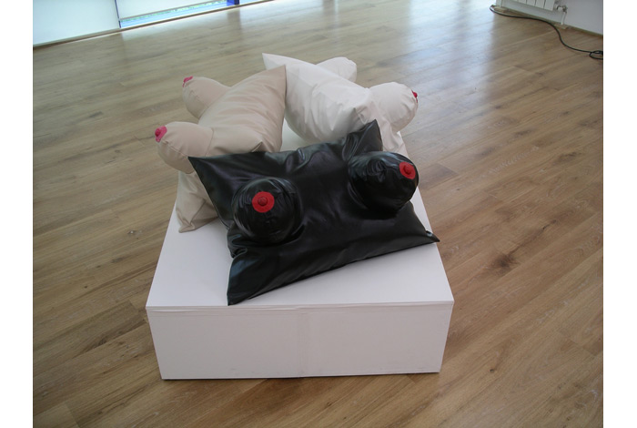 Alla Georgieva, Favourite Pillows, 1997-2007