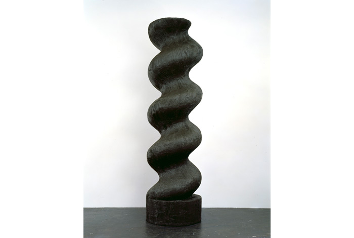 Valentin Carron, 4 jours pour convaincre, 2008