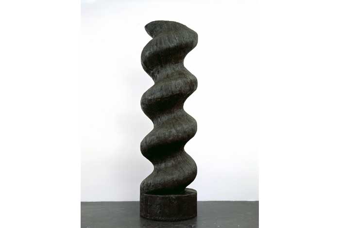 Valentin Carron, 6 jours pour convaincre, 2008