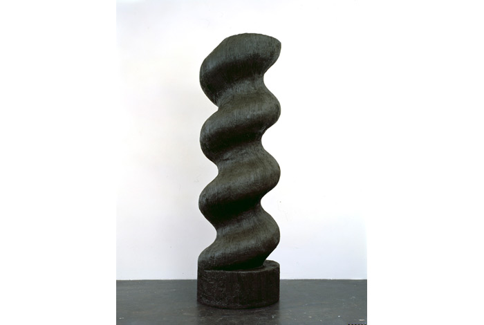 Valentin Carron, 1 jour pour convaincre, 2008