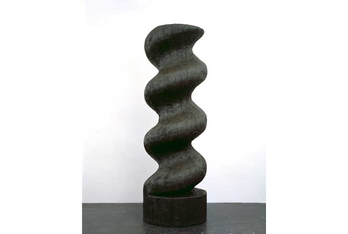 Valentin Carron, 3 jours pour convaincre, 2008