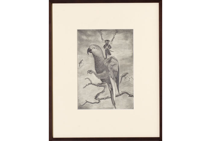 Dionisis Kavallieratos The Might Parrot, 2008