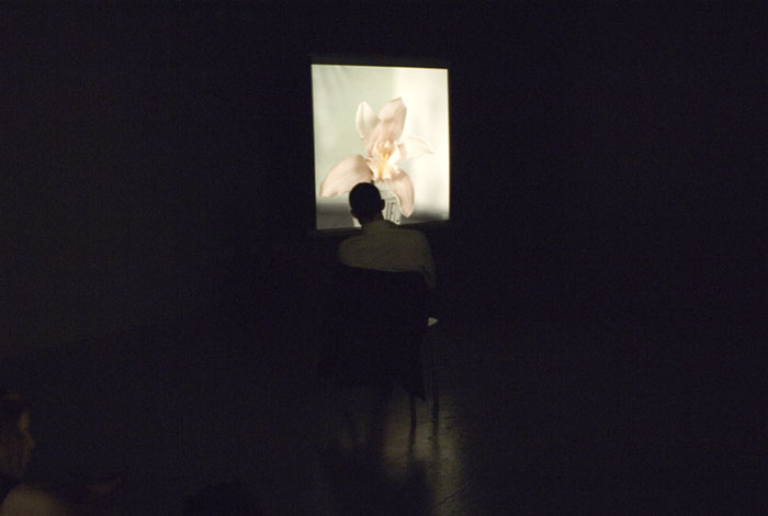 Marc Camille Chaimowicz, Partial Eclipse, 1980-2006